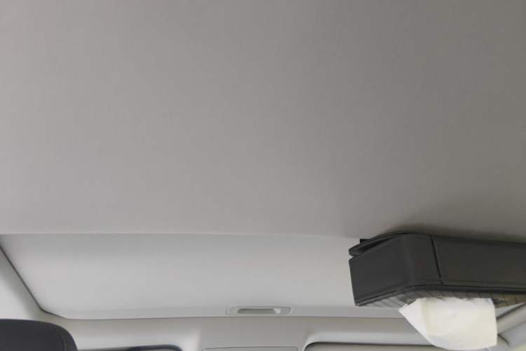 Used Lexus ES 2014 250 Elite Edition Headliner