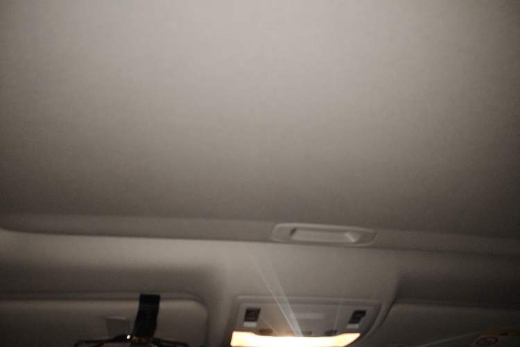 Used Lexus ES 2014 250 Elite Edition Headliner