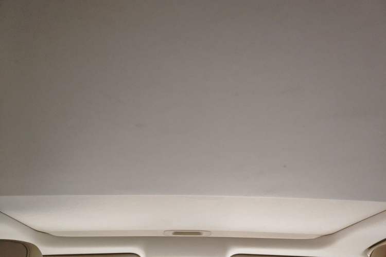 Used Lexus ES 2014 300h Luxury Edition Headliner