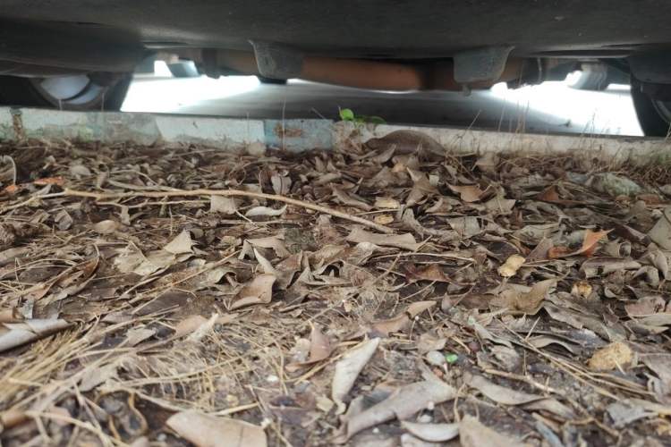 Used Lexus ES 2014 250 Elite Edition Chassis Rear
