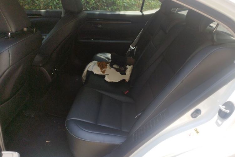 Used Lexus ES 2014 300h Elite Edition Left Rear Seat