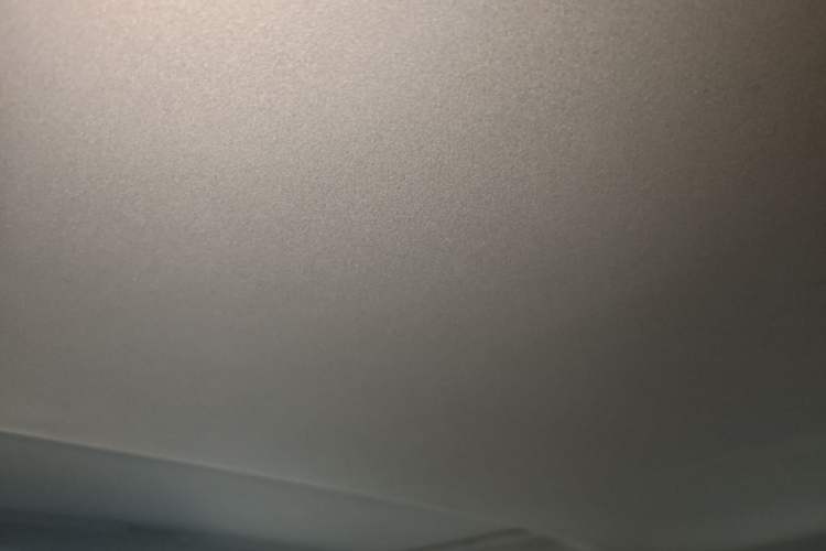 Used Lexus ES 2014 300h Elite Edition Headliner