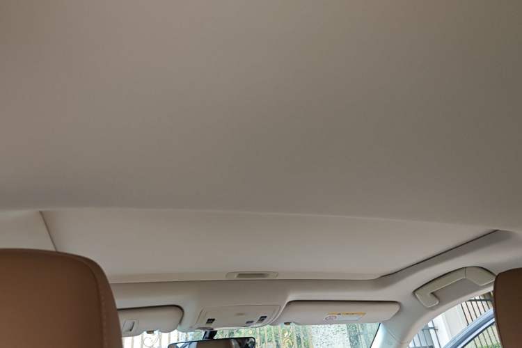 Used Lexus ES 2015 200 Elite Edition Headliner
