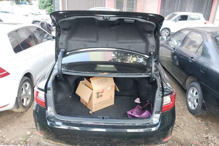 Used Lexus ES 2015 200 Elite Edition Trunk