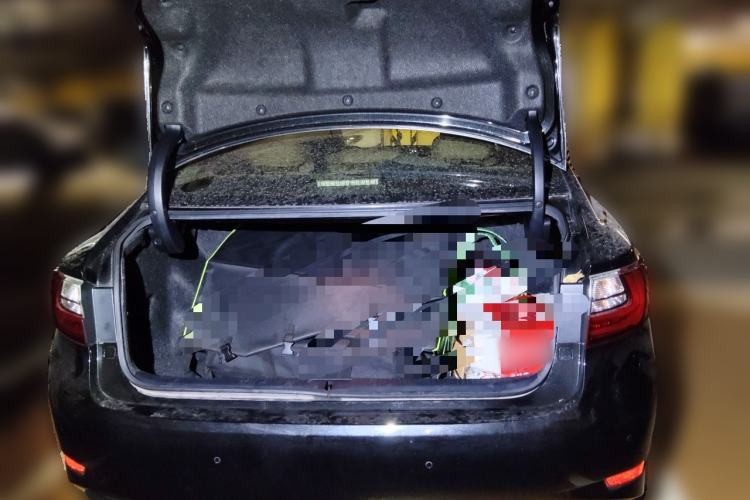 Used Lexus ES 2015 200 Elite Edition Trunk