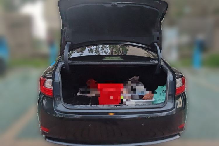 Used Lexus ES 2015 200 Elite Edition Trunk