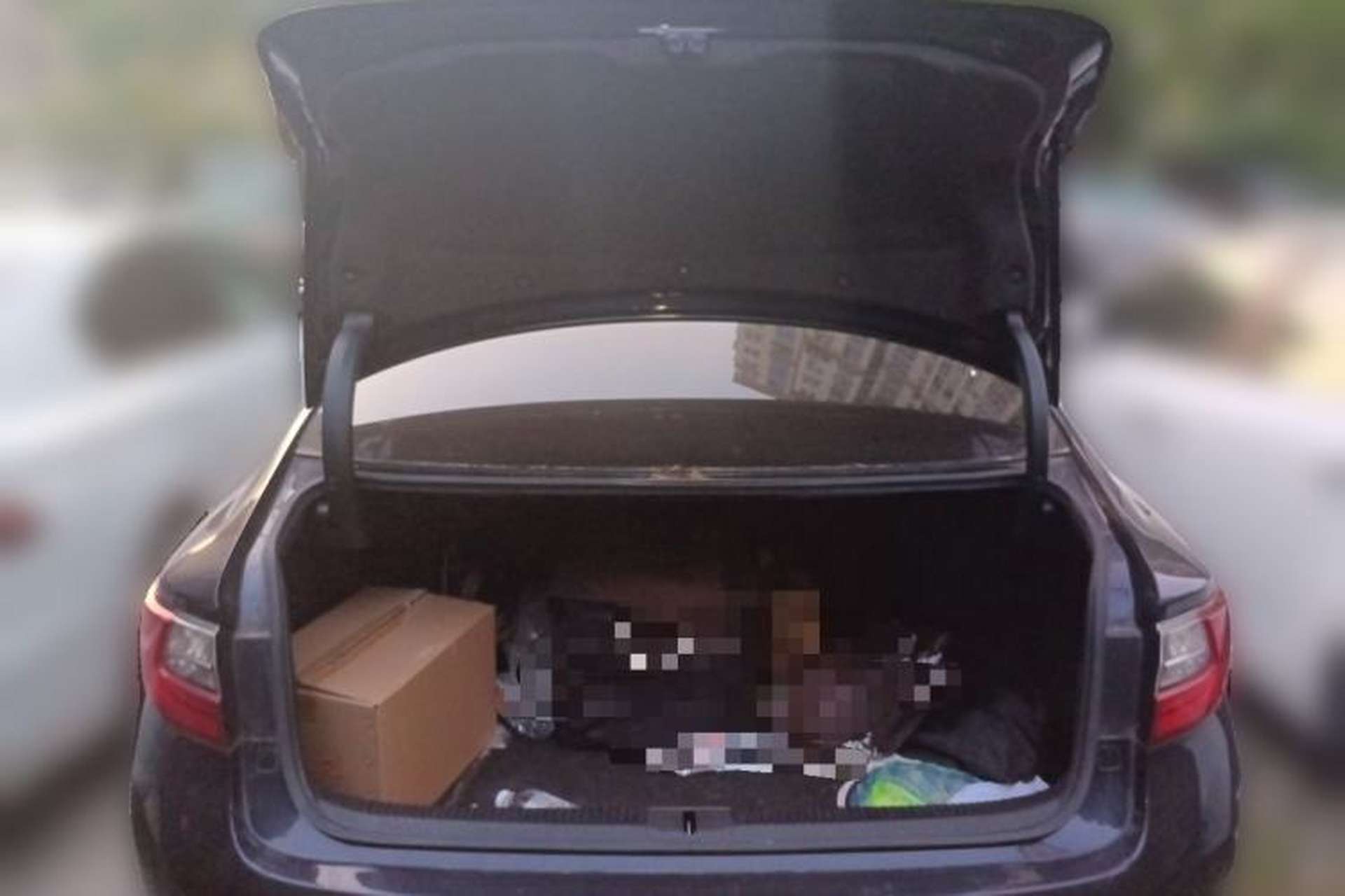 Used Lexus ES 2015 200 Elite Edition Trunk
