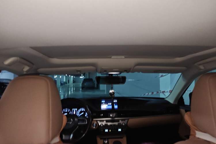 Used Lexus ES 2015 200 Elite Edition Headliner