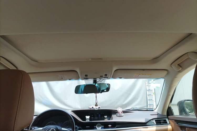 Used Lexus ES 2015 200 Elite Edition Headliner