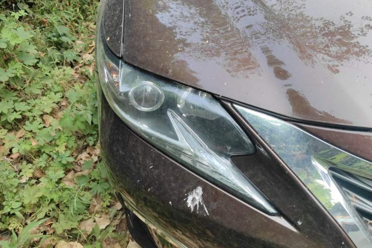 Used Lexus ES 2015 200 Elite Edition Right Front Headlight