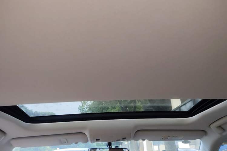 Used Lexus ES 2015 200 Elite Edition Headliner