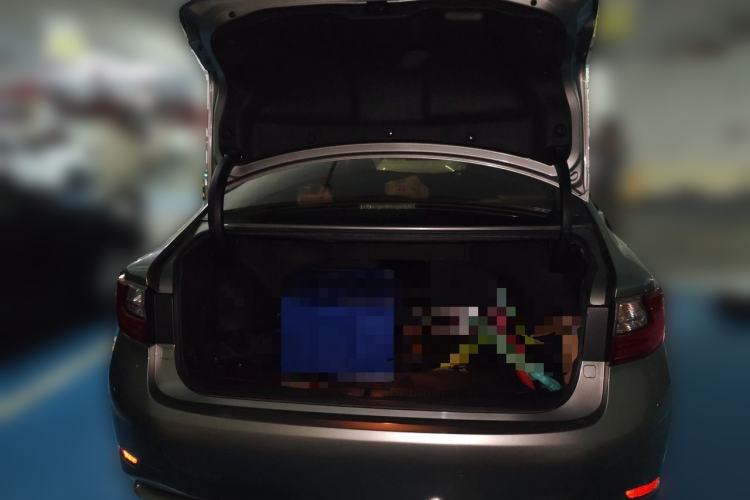 Used Lexus ES 2015 200 Elite Edition Trunk