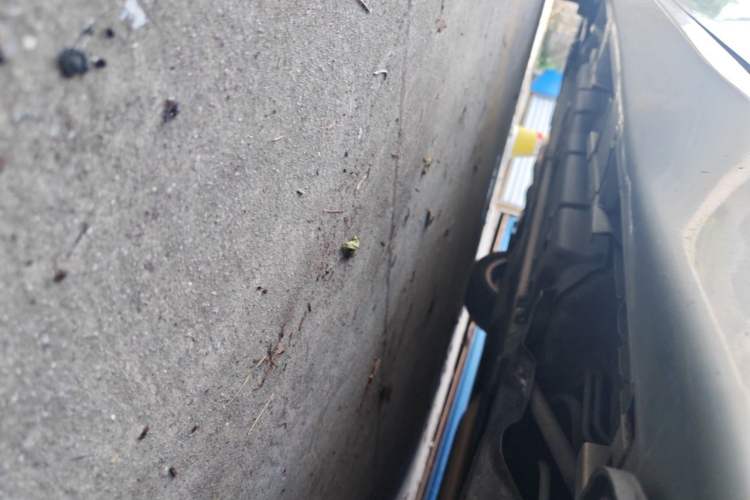 Used Lexus ES 2015 300h Comfort Edition Chassis Rear Left