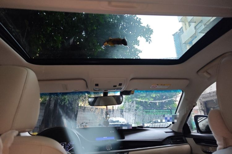 Used Lexus ES 2015 200 Elite Edition Headliner