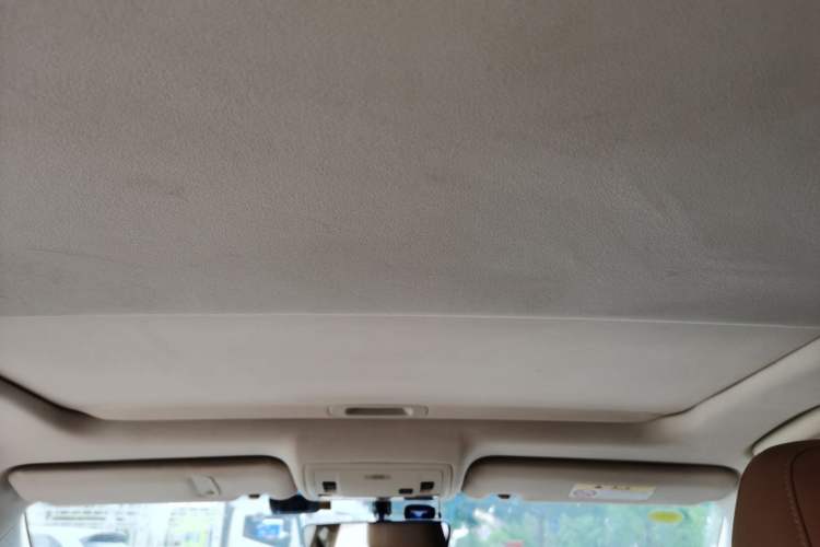 Used Lexus ES 2015 200 Elite Edition Headliner