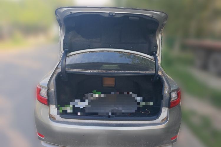 Used Lexus ES 2015 200 Elite Edition Trunk