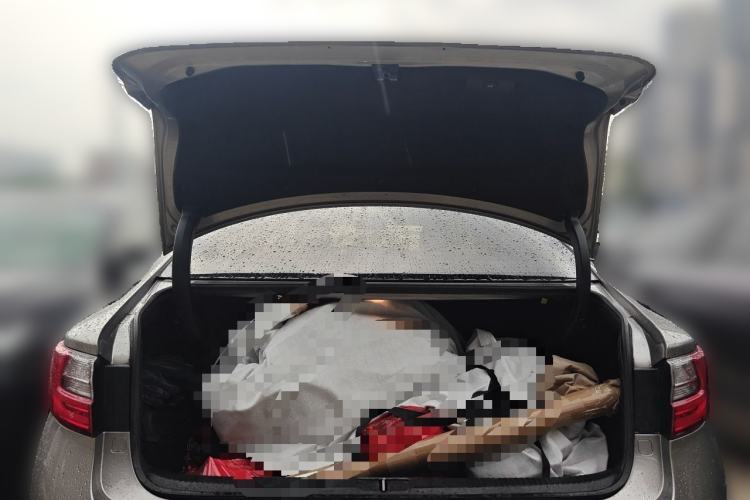 Used Lexus ES 2015 200 Elite Edition Trunk