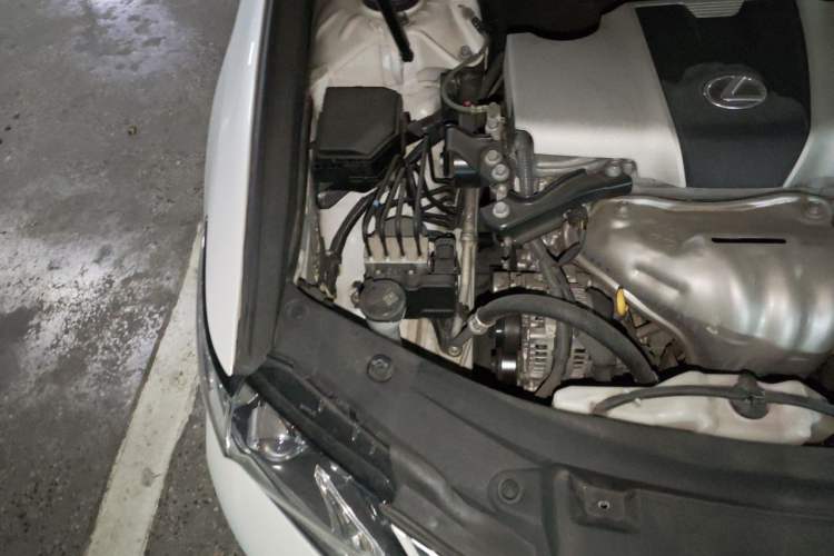 Used Lexus ES 2015 200 Elite Edition Engine Bay Right