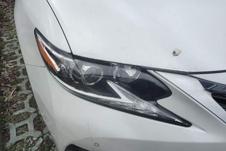 Used Lexus ES 2015 250 Elegant Edition Exterior 6