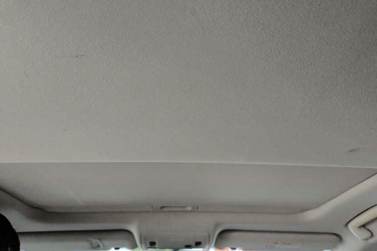 Used Lexus ES 2015 200 Elite Edition Headliner