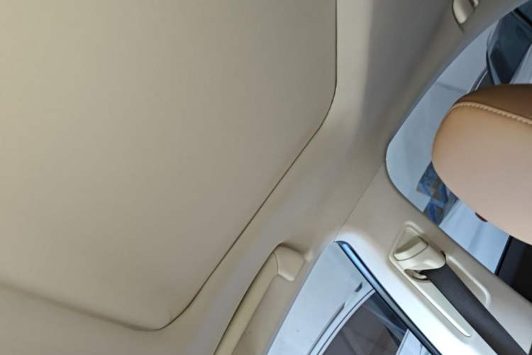 Used Lexus ES 2015 200 Elite Edition Headliner