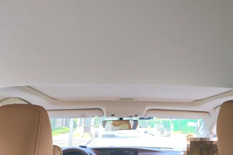 Used Lexus ES 2015 200 Elite Edition Headliner