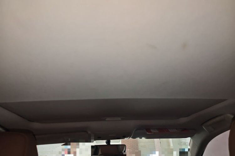Used Lexus ES 2015 200 Elite Edition Headliner