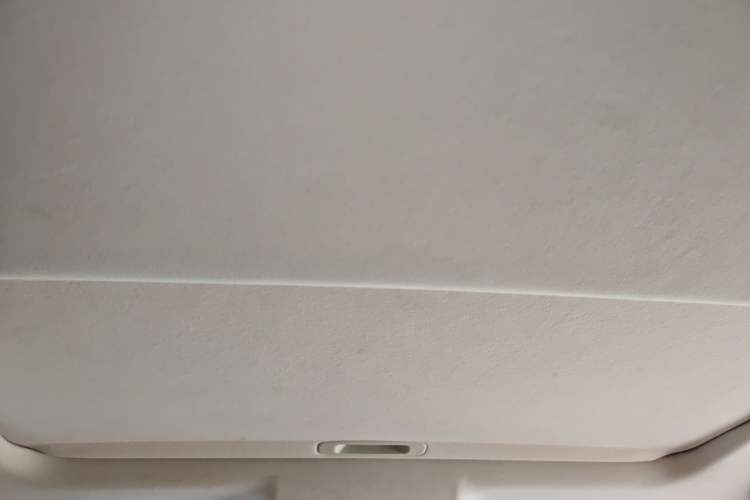 Used Lexus ES 2015 200 Elite Edition Headliner