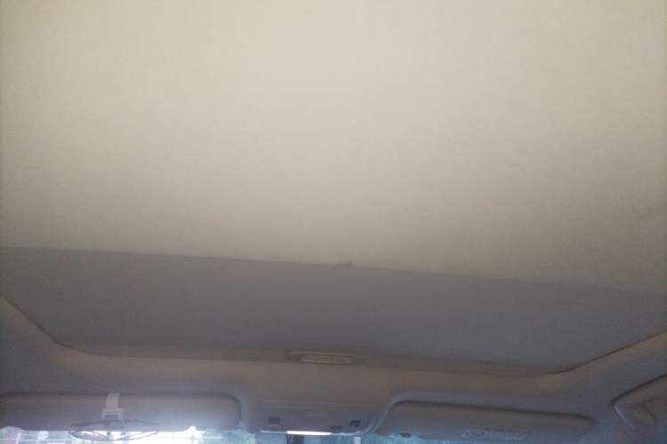 Used Lexus ES 2015 200 Elite Edition Headliner