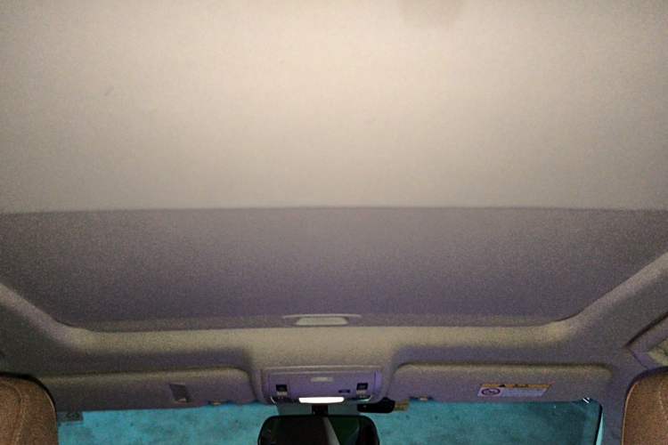 Used Lexus ES 2015 200 Elite Edition Headliner