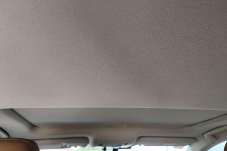 Used Lexus ES 2015 200 Elite Edition Headliner