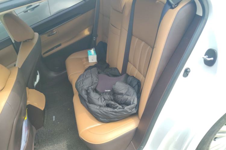 Used Lexus ES 2015 200 Elite Edition Left Rear Seat