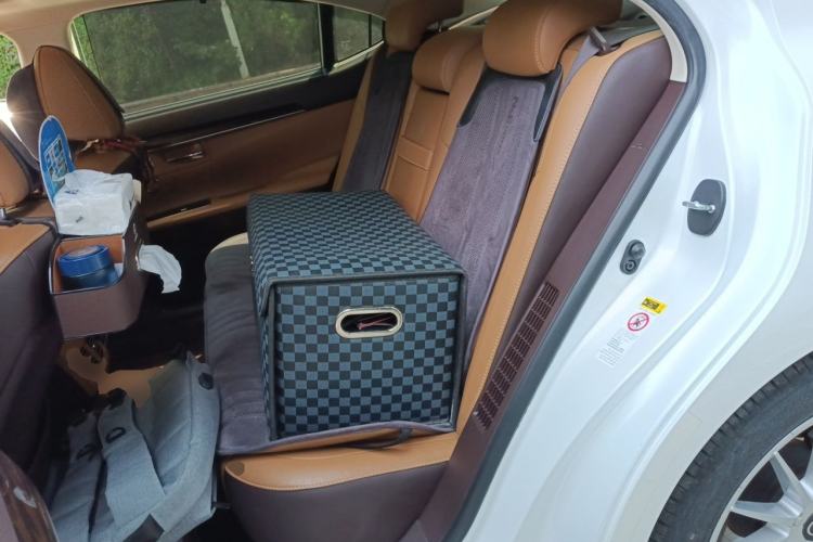 Used Lexus ES 2015 300h Luxury Edition Left Rear Seat