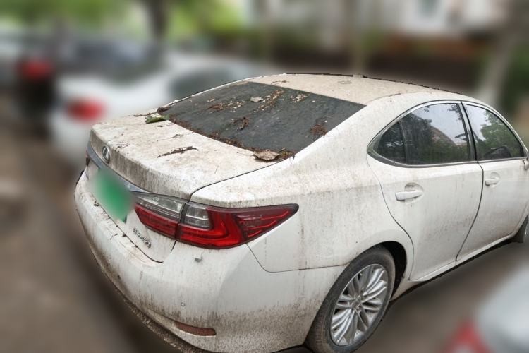 Used Lexus ES 2015 250 Elegant Edition Rear Right 45 Deg