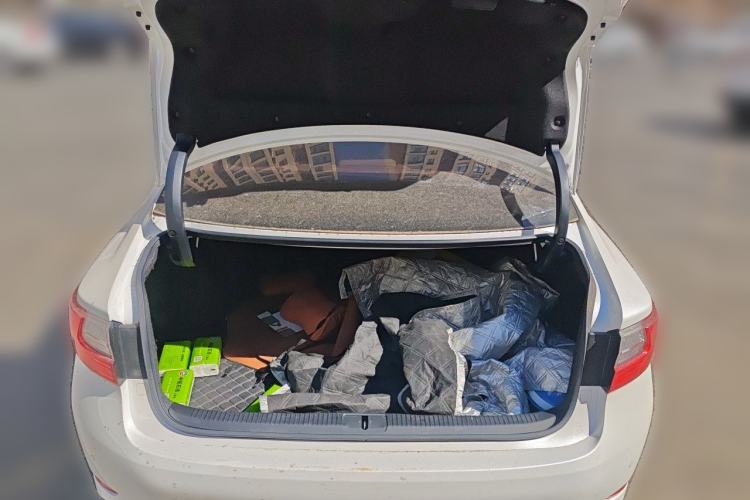 Used Lexus ES 2015 200 Elite Edition Trunk