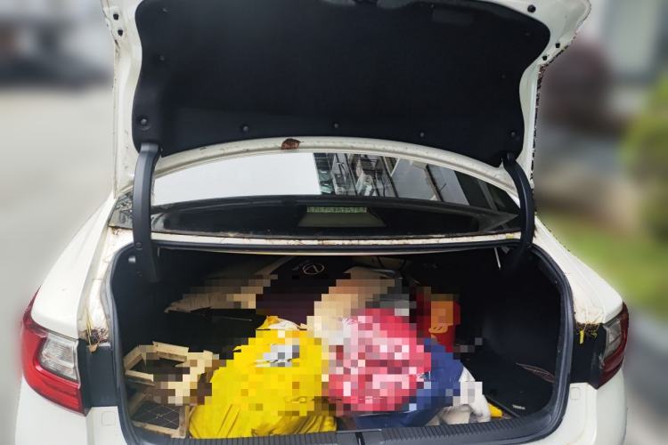 Used Lexus ES 2015 200 Elite Edition Trunk