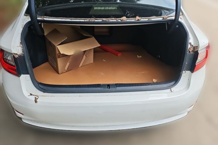 Used Lexus ES 2015 200 Elite Edition Trunk