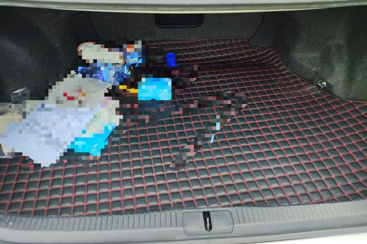 Used Lexus ES 2015 200 Elite Edition Trunk