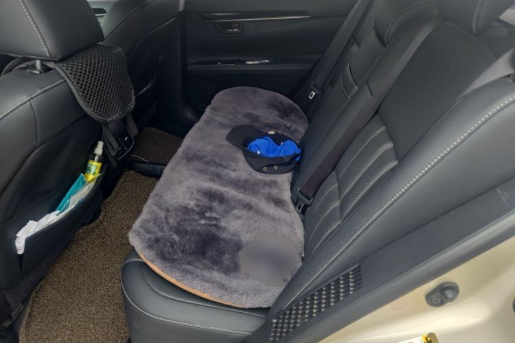 Used Lexus ES 2015 300h Comfort Edition Left Rear Seat