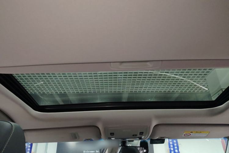 Used Lexus ES 2016 250 Midnight Special Limited Edition Headliner