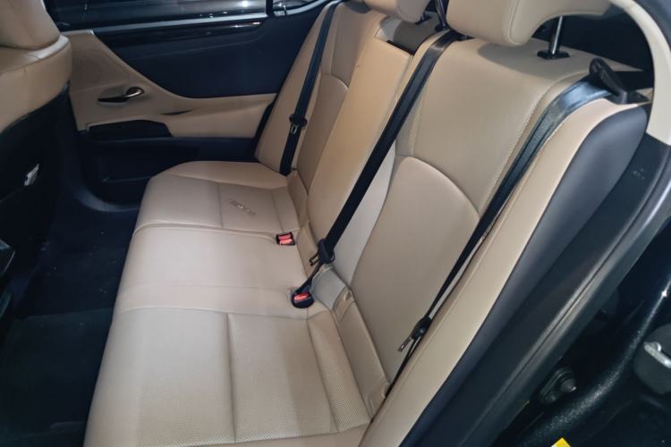 Used Lexus ES 2018 300h Premier Edition China VI Standard Left Rear Seat