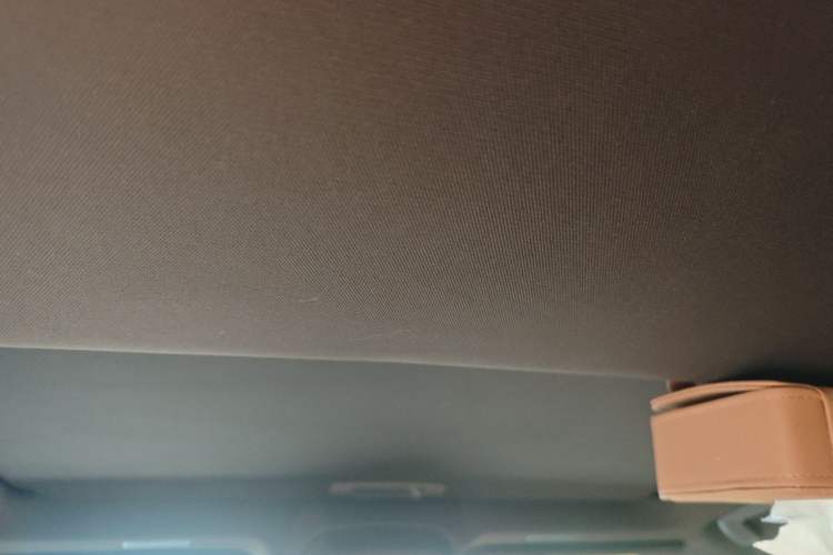 Used Lexus ES 2018 300h Premier Edition China VI Standard Headliner