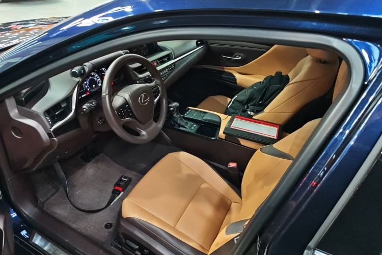 Used Lexus ES 2018 300h Premier Edition China VI Standard Left Front Seat