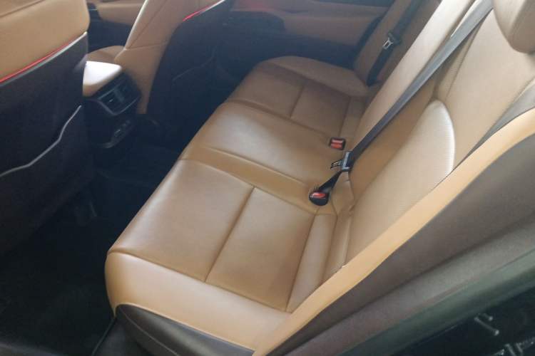 Used Lexus ES 2018 300h Premier Edition China VI Standard Left Rear Seat