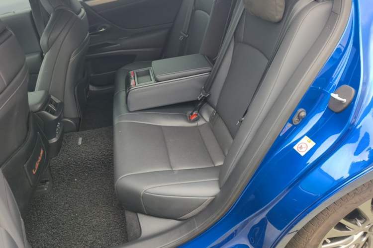 Used Lexus ES 2018 260 Excellence Edition China VI Standard Left Rear Seat