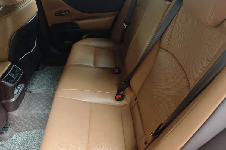 Used Lexus ES 2018 200 Excellence Edition China VI Standard Left Rear Seat
