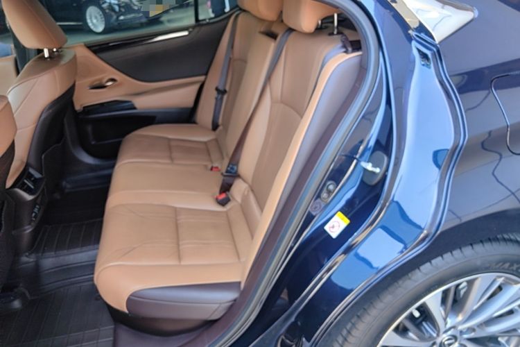 Used Lexus ES 2018 300h Premium Edition China VI Standard Left Rear Seat