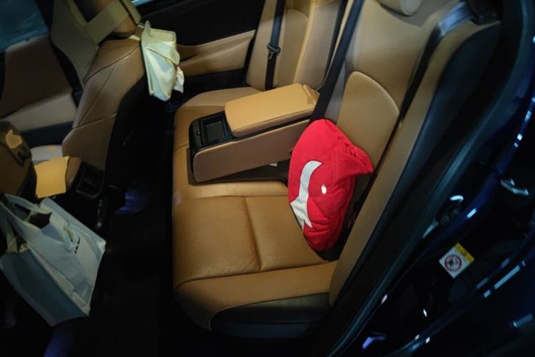 Used Lexus ES 2018 300h Premier Edition China V Standard Left Rear Seat