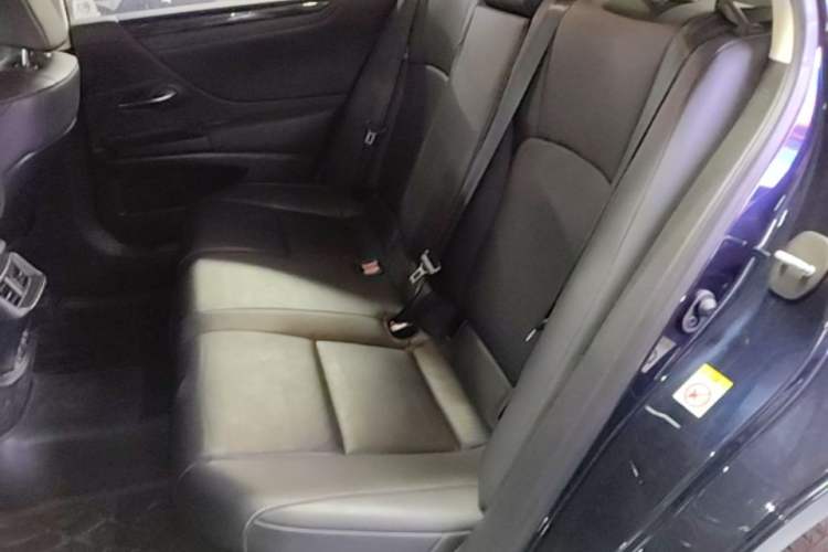 Used Lexus ES 2018 300h Premier Edition China VI Standard Left Rear Seat