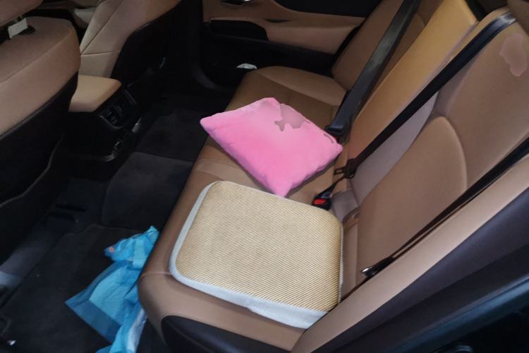 Used Lexus ES 2018 260 Excellence Edition China V Standard Left Rear Seat